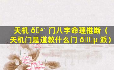 天机 🪴 门八字命理推断（天机门是道教什么门 🌵 派）